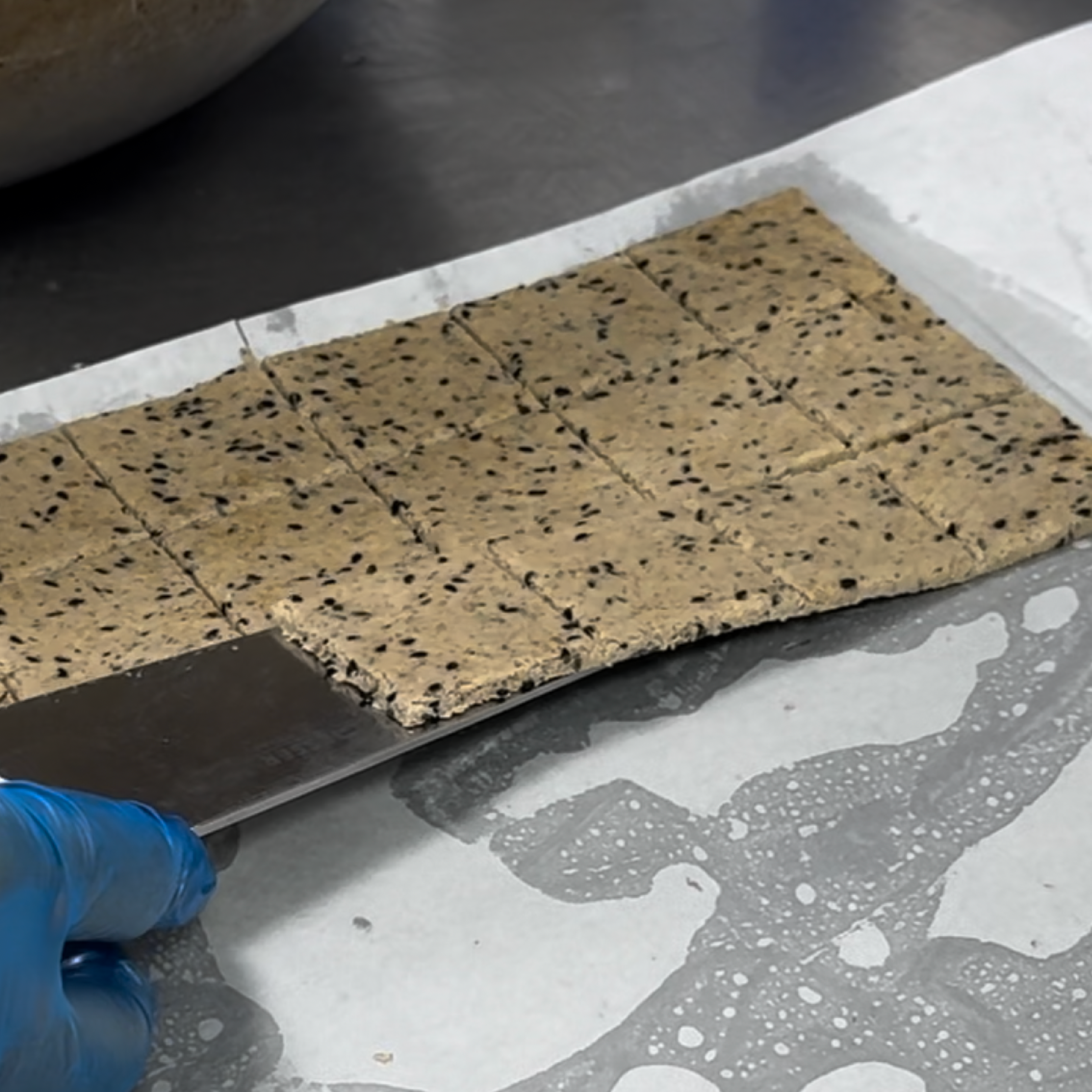 toasted sesame